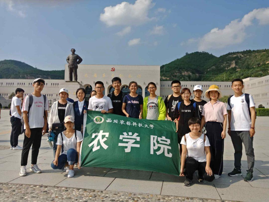 奥特曼救女友3